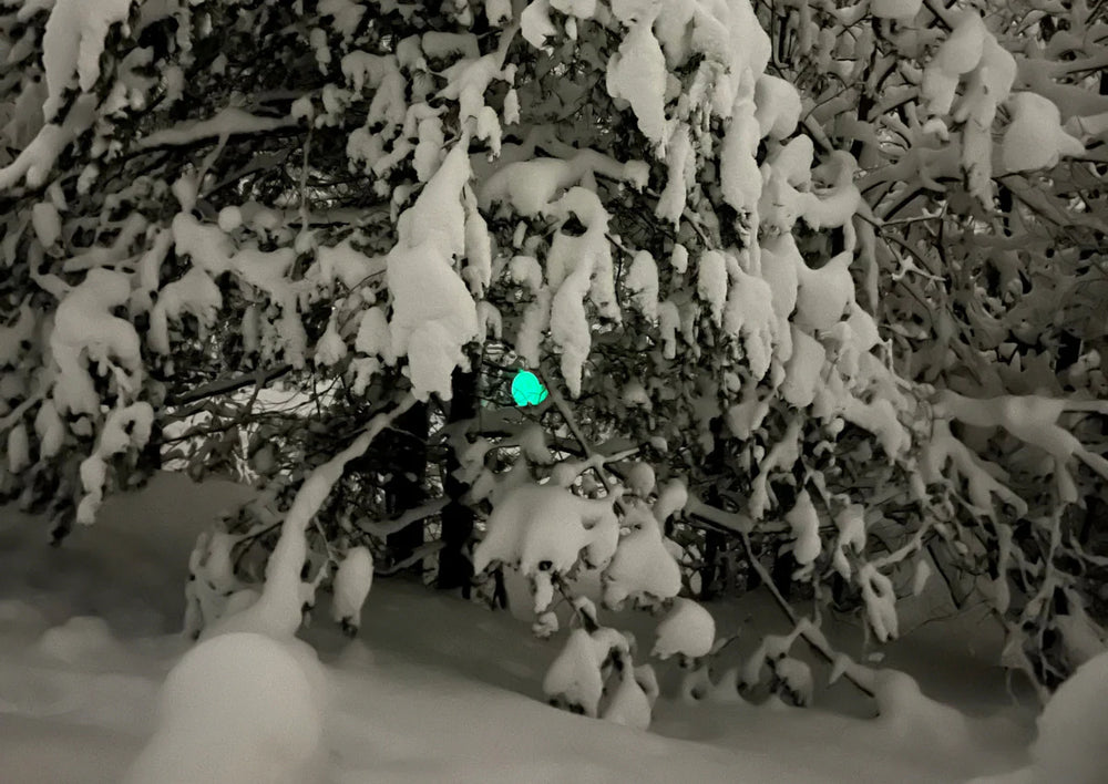 Kristi Prik: Esimene snow glow kogemus