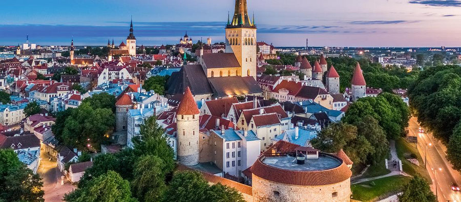 Nädalavahetusel toimub discgolfivõistlus Vanalinna Open, kaks õnnelikku lendavad USA-sse võistlema