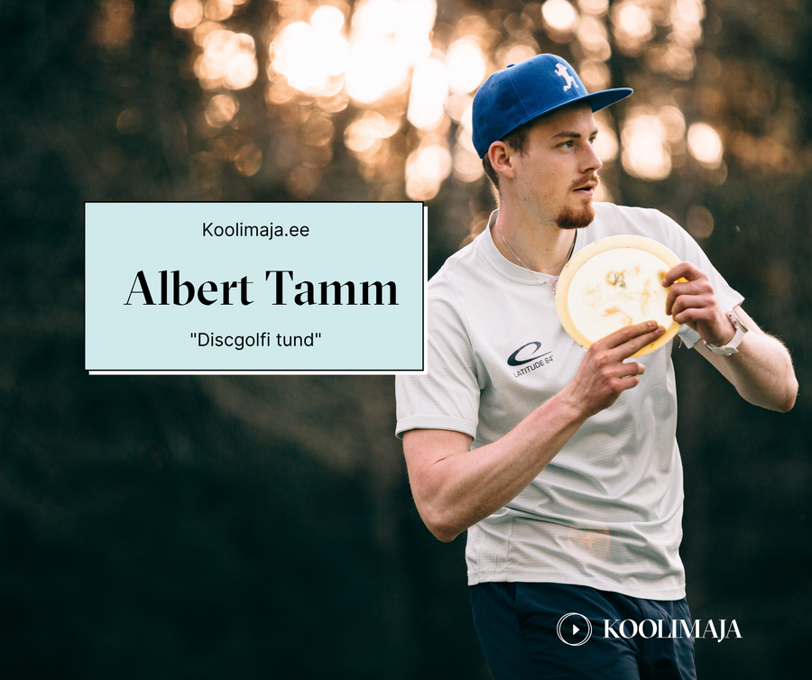 Arenda oma mängu Albert Tamme online videotunniga